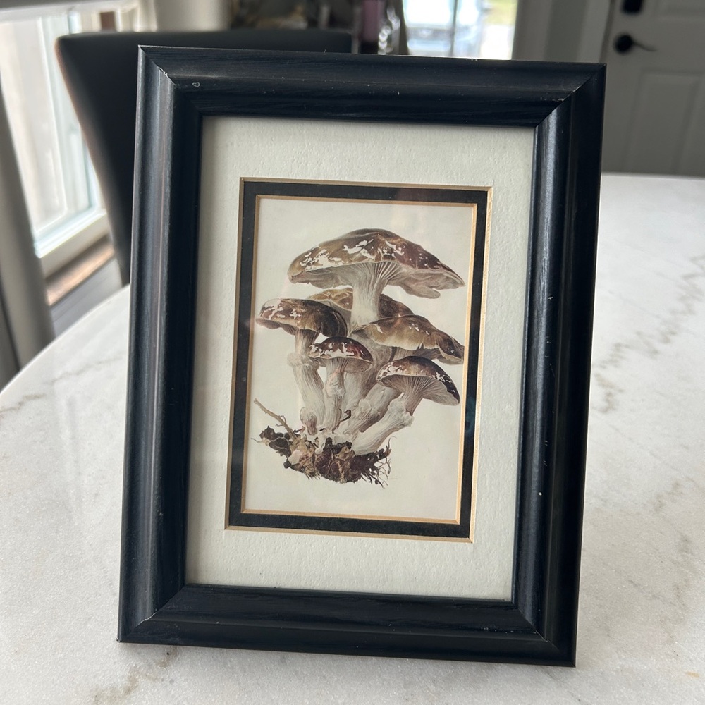Framed Botanical Mushroom Print in Black Frame